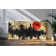 Wrapped Canvas Panoramic Print