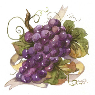 " Watercolor Grapes I " by Jerianne Van Dijk Painting Print