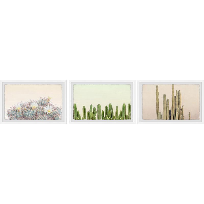 «Floral Cactus Triptych», ensemble de 3 impressions encadrées, H 8 po x l 12 po, Bord frangé