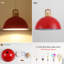 Joylin 11.81" Single Pendant-19883678