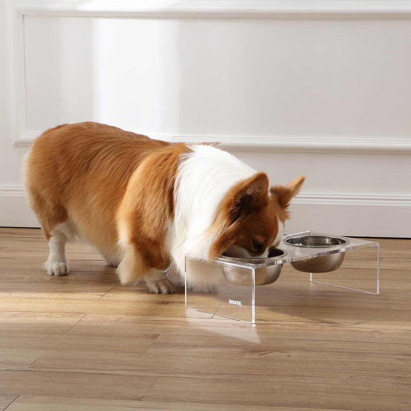 Keaton Modern Lucite Rectangular Elevated Pet Feeder with 2-Stainless Steel Bowls, Clear/Chrome