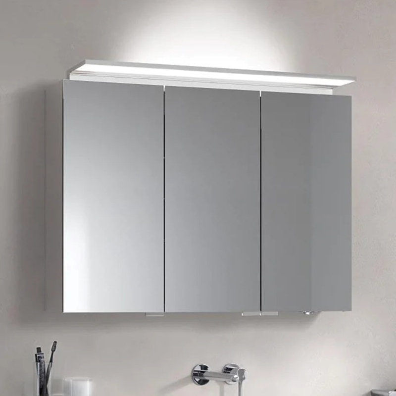 mm Wide mm H Surface Mirrored Cabinet with Mirror and 9 Adjustable Shelves