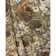 Orchard Print