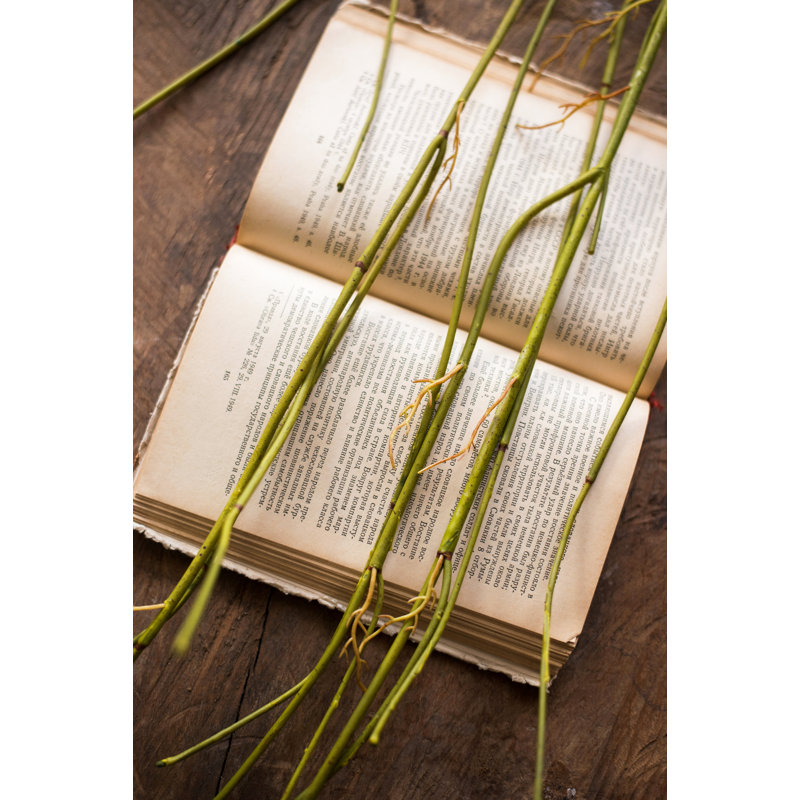 Herbe artificielle weeping willow