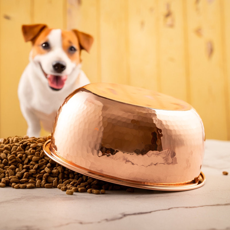 Pet Bowl