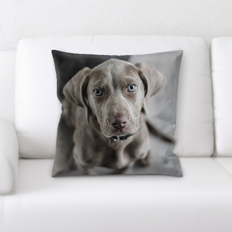 Microsuede Throw Pillow