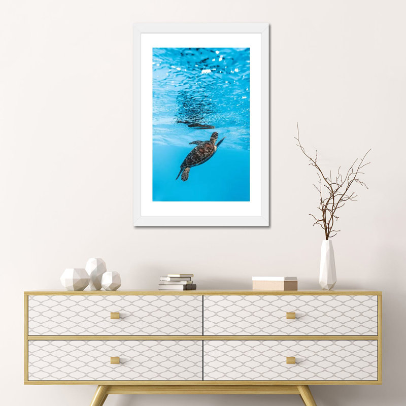 «Under Water Little Turtle» par James Vodicka - reproduction imprimée, H 24 po x l 16 po x P 1 po, Papier encadré blanc