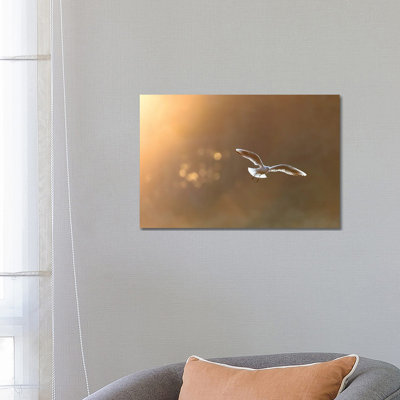 Headed Gull At Sunrise by Mateusz Piesiak - Wrapped Canvas Print