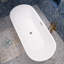 67'' x 31.5'' Freestanding Soaking Plastic / Acrylic Bathtub
