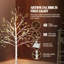 Lighted Artificial Christmas Tree