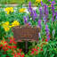 Plaque de jardin Song Bird-39821324-40043260