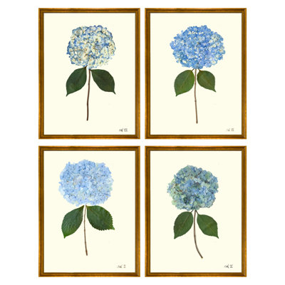 Pressed Hydrangea Set by Sandy Whitaker