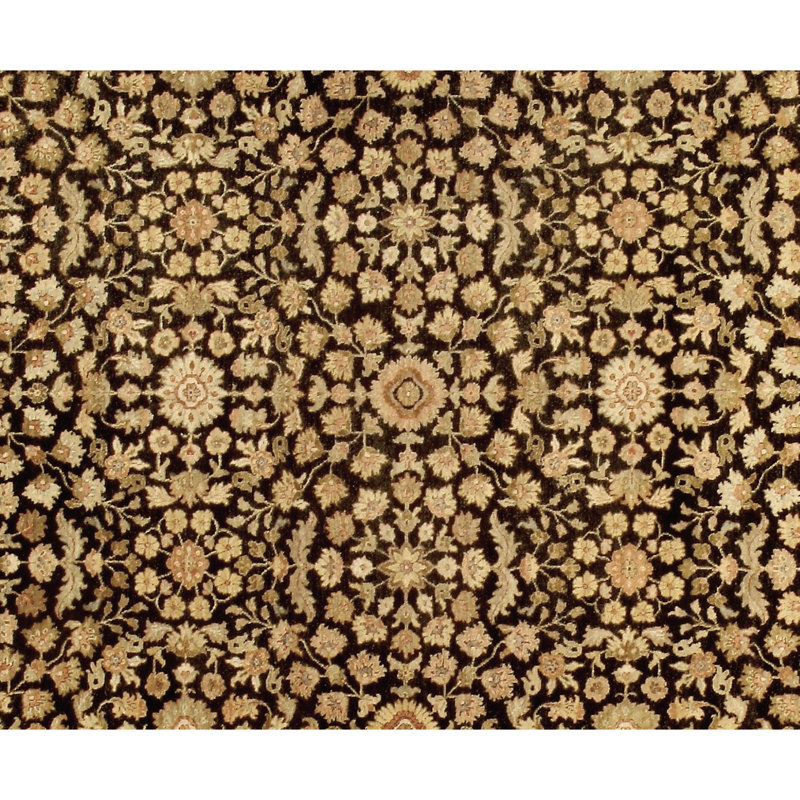 Hand Knotted Wool Oriental Area Rug in Beige/Black/Brown, Rectangle 10' x 14'