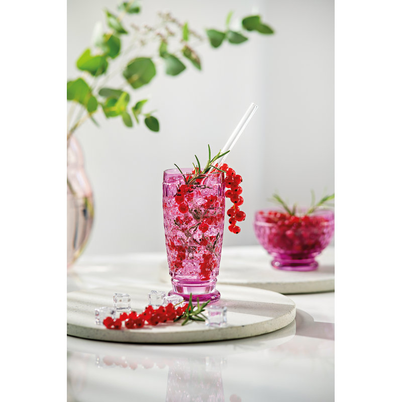 Boston Berry Highball/Tumbler Set of 4