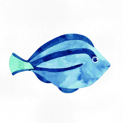 " Surgeon Fish "