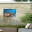 Rouleau de bolognaise sur un impression sur toile-98095201
