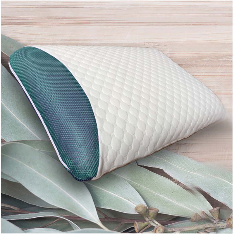 Oreiller en mousse viscoélastique imprégnée d'eucalyptus Kaspar