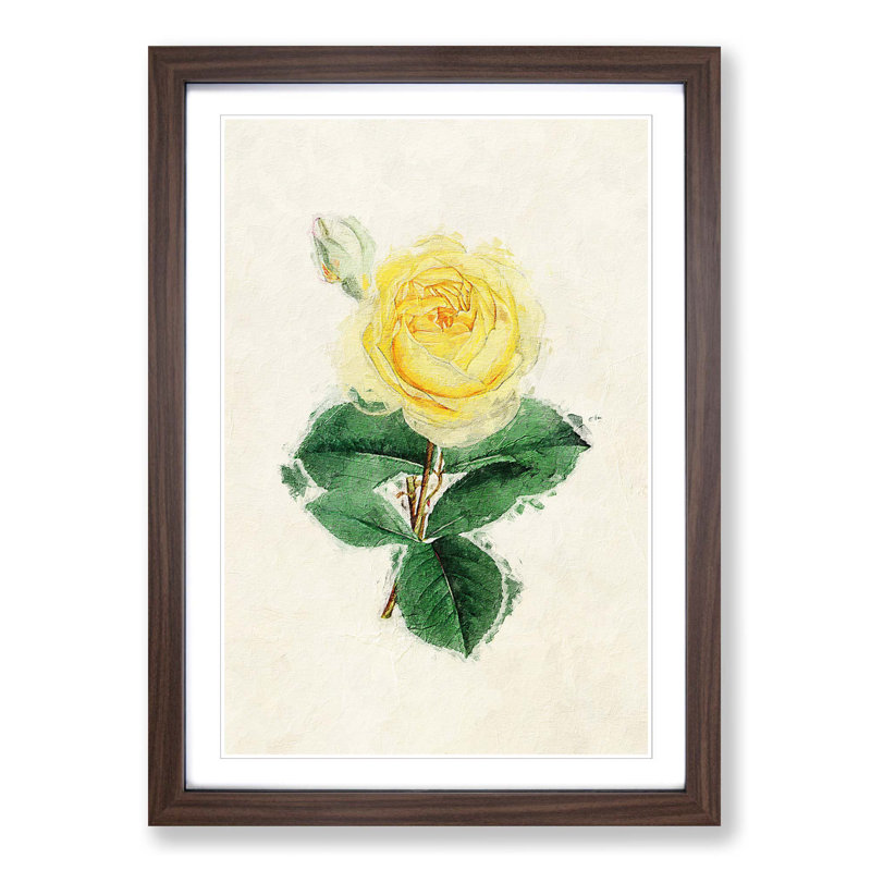 Illustration of a Yellow Rose - Picture Frame Painting Print, 36cm H x 27cm W x 2cm D, Walnut Framed