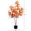 Arbre d'automne-1230477456