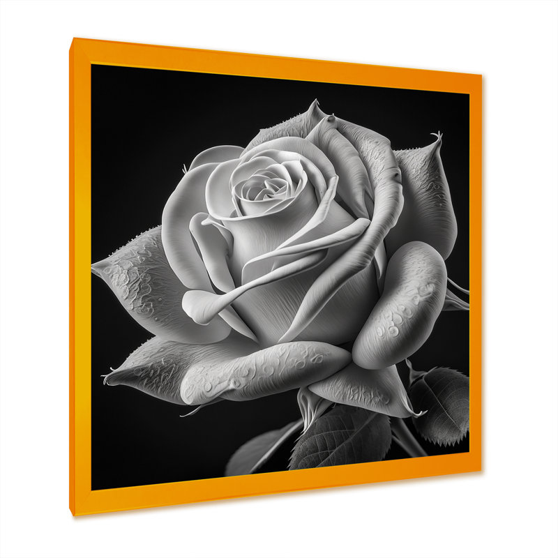 «Blossoming White Rose On Black I» - décoration murale rose, H 30 po x l 30 po x P 1 po, Encadrement doré