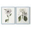Tropical Botanical III - reproduction encadrée de qualité supérieure - prête à être accrochée - aucun clou requis - aucun clou requis-1644411400-1644411415