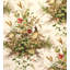 Edwin's Covey Fabric-24023977