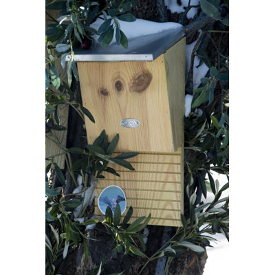 Kaphan H x W x D Wall Bat House