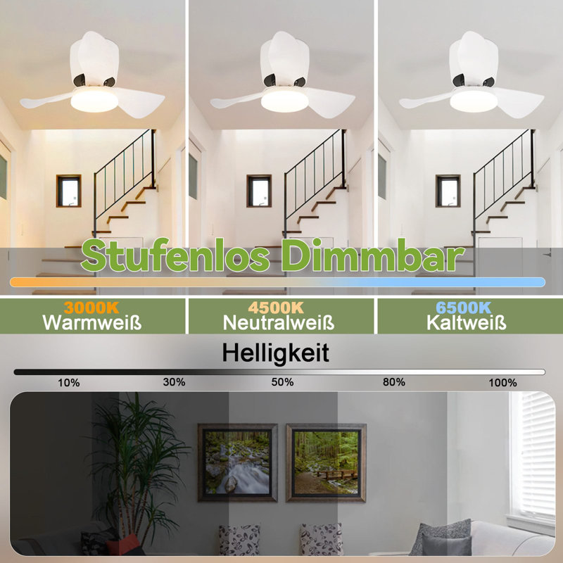 Ceiling Fan with LED Lights