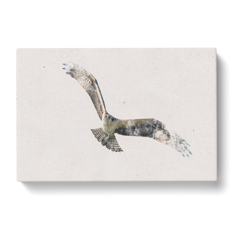 Osprey Bird Watercolour - Wrapped Canvas Print, 40cm H x 60cm W x 4cm D