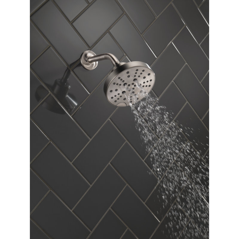 Multi-Function Adjustable Shower Head, Lumicoat Stainless