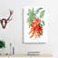 Orange Clianthus Flowers - Wrapped Canvas-55359583
