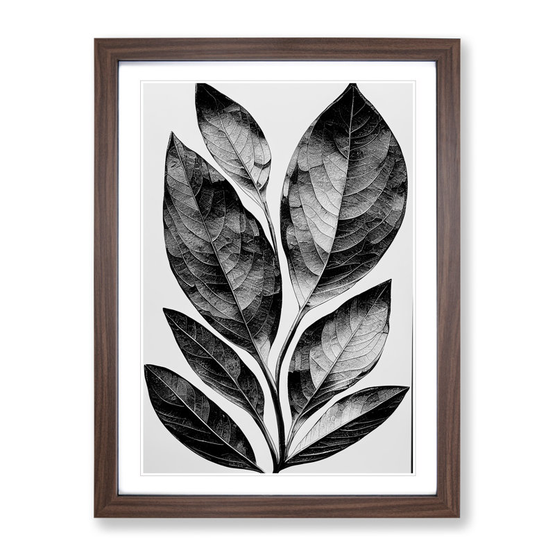 A Monochrome Leaves No.2 - Single Picture Frame Print, 64cm H x 46cm W x 2cm D, Walnut Framed, White
