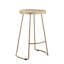 Margaret Counter Stool with Metal Frame-39266295