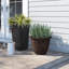 Norman Planter-14486366