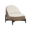 Lounge Chair