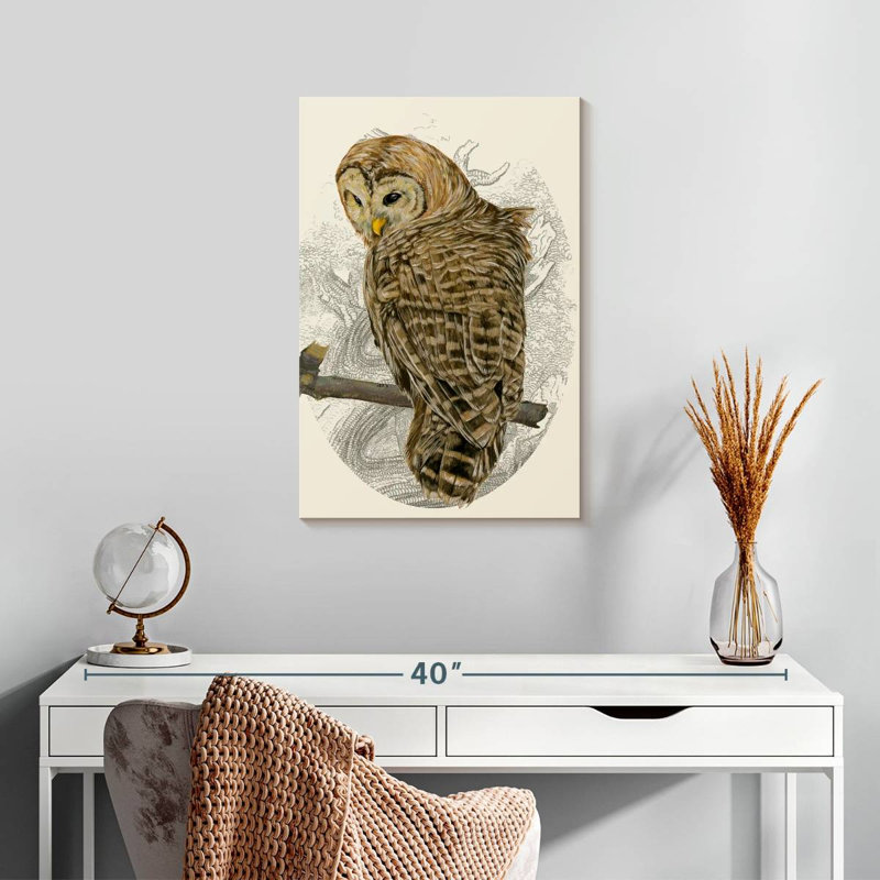 Brampt Barred Owl II, 24" H x 16" W