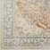 Washable Oriental Indoor Rug