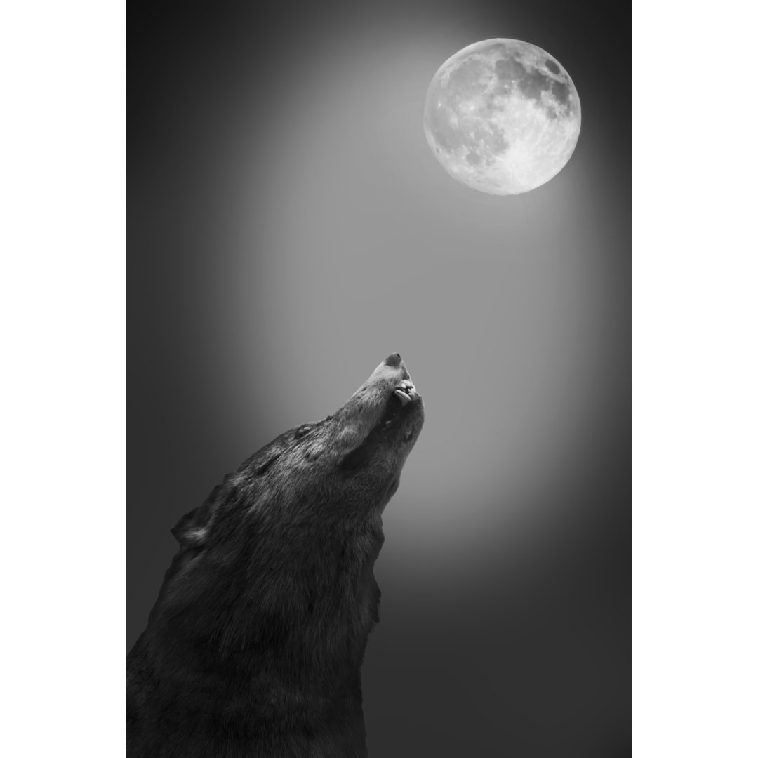 Wolf Howls To The Moon - Kunstdrucke auf Leinwand - Wrapped Canvas