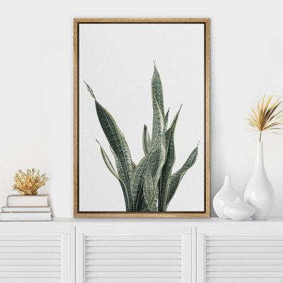 " Green Snake Plant Floral "