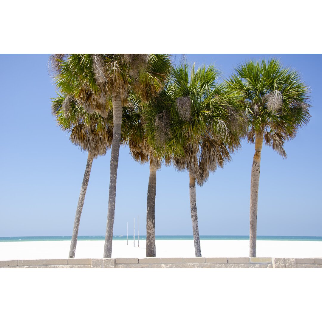 Leinwandbild Coastal Palms I