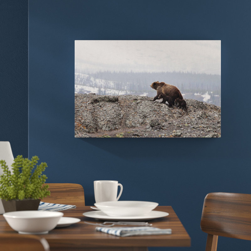 Bear Wrapped Canvas Print, 40cm H x 60cm W