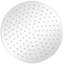 Asha Rain Fixed Shower Head