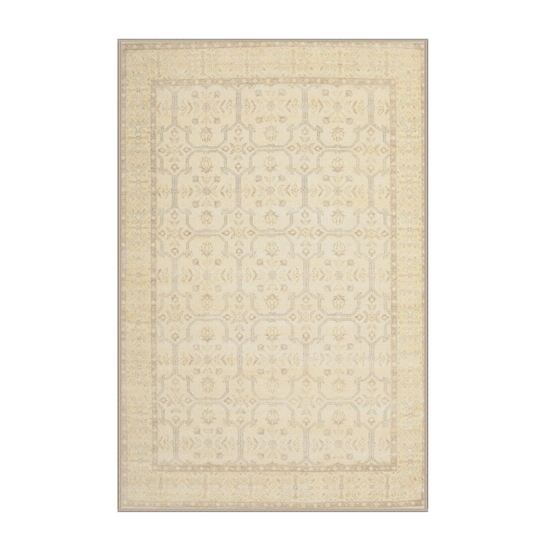 Tapis beige Southwestern, Rectangle 2 pi x 4 pi