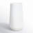 Clement Table Vase