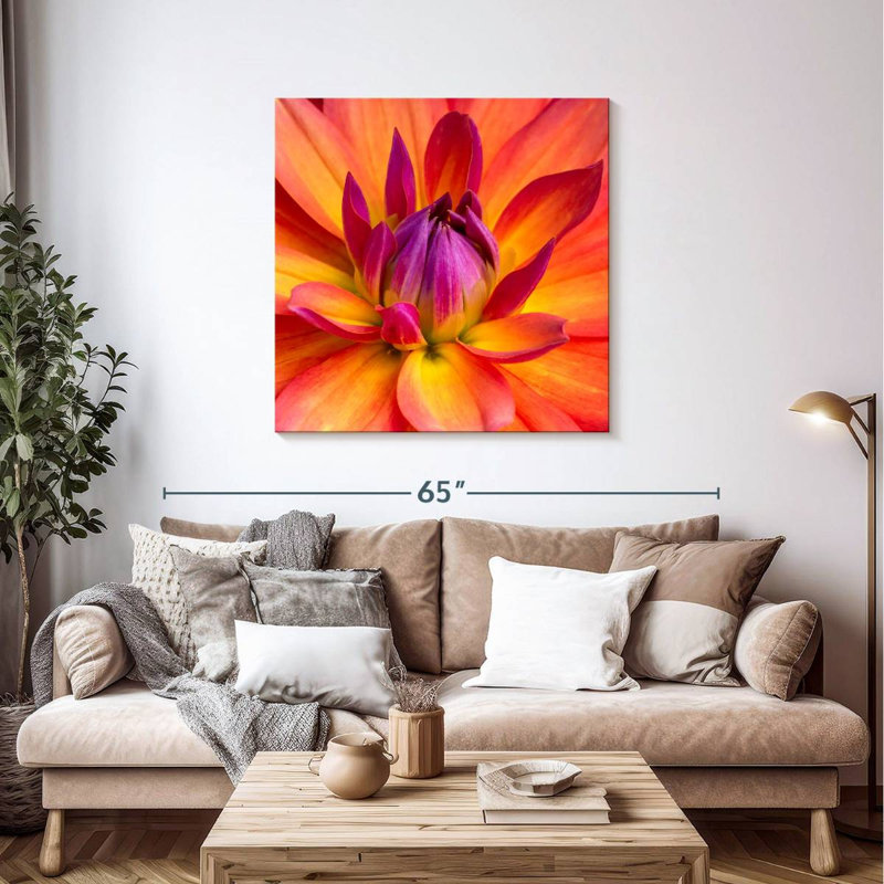 Dahlia Harnek en fleurs