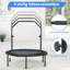 Tanisha Freeport Park ft Round Fitness Trampoline with Handlebar