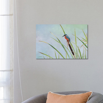 Kingfisher Perched Among The Reeds by David Stribbling - Wrapped Canvas Gallery-Wrapped Canvas Giclée