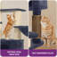 157 H Cat Tree-2005778612