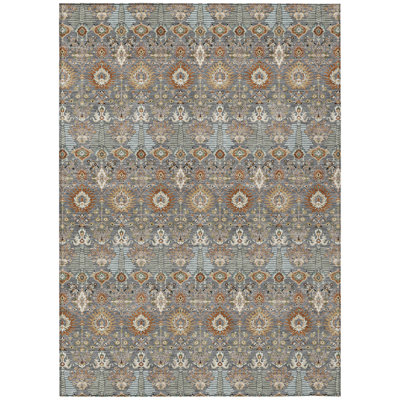 Machine Washable Indoor/Outdoor Brenden ACN2251 Global Rug