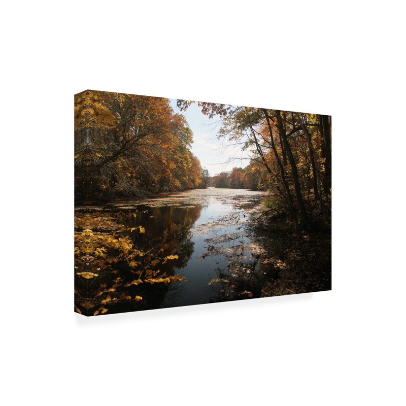 Art sur toile, Reflets du lacolog, H 16 po x l 24 po